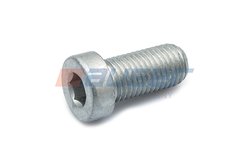 Surub Auger 71861