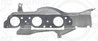 GARNITURA GALERIE EVACUARE ELRING 721.531 - Compatibil cu JAGUAR, JAGUAR (CHERY), LAND ROVER