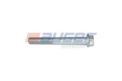 Surub Auger 72313