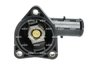 TERMOSTAT LICHID RACIRE NRF 725043 - Compatibil cu LEXUS, TOYOTA