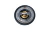 TERMOSTAT LICHID RACIRE NRF 725089 - Compatibil cu RENAULT