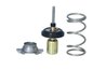 Termostat lichid racire NRF 725093