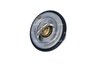 TERMOSTAT LICHID RACIRE NRF 725096 - Compatibil cu AUDI, BENTLEY, VOLVO, VW