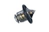 Termostat lichid racire NRF 725108