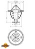 Termostat lichid racire NRF 725131