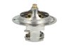 Termostat lichid racire NRF 725181