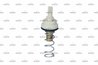 TERMOSTAT LICHID RACIRE NRF 725195 - Compatibil cu AUDI, SEAT, SKODA, VW