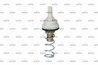 TERMOSTAT LICHID RACIRE NRF 725195 - Compatibil cu AUDI, SEAT, SKODA, VW