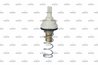 TERMOSTAT LICHID RACIRE NRF 725195 - Compatibil cu AUDI, SEAT, SKODA, VW