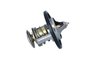 Termostat lichid racire NRF 725251