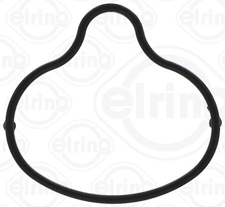 GARNITURA GALERIE ADMISIE ELRING 727.920 - Compatibil cu BMW, WIESMANN