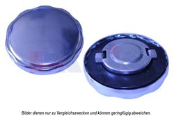 Buson rezervor de combustibil AKS Dasis 750068N