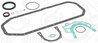 Set garnituri carter Elring 765.147