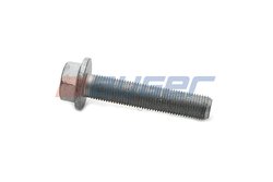 Surub Auger 78831