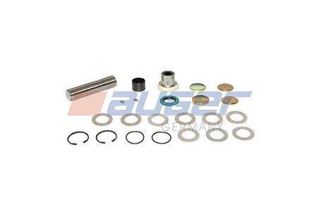 SET REPARATIE PIVOT AUGER 79810 - Compatibil cu MAN