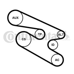Set curea transmisie cu caneluri CONTINENTAL 7PK1104K1