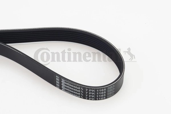 Curea transmisie CONTINENTAL 7PK1165
