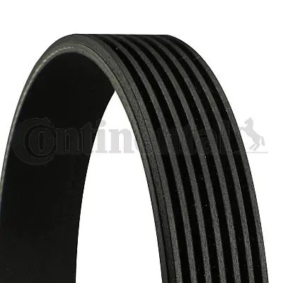 Curea transmisie CONTINENTAL 7PK1815