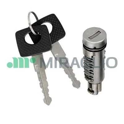 CILINDRU INCHIDERE MIRAGLIO 80/1029 - Compatibil cu MERCEDES-BENZ