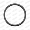 GARNITURA RACORD EVACUARE WALKER 80546 - Compatibil cu SUZUKI