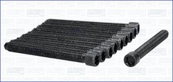 Set suruburi chiulasa Ajusa 81017200
