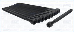 Set suruburi chiulasa Ajusa 81026000