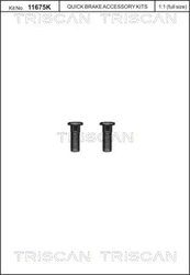 SET SURUB, DISC FRANA TRISCAN 8105 116016 - Compatibil cu FORD, SEAT, VW