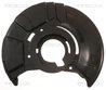 Protectie noroi disc frana Triscan 8125 11113