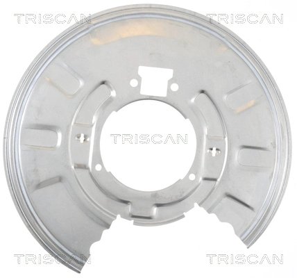 Protectie noroi disc frana Triscan 8125 11209
