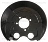 Protectie noroi disc frana Triscan 8125 24203
