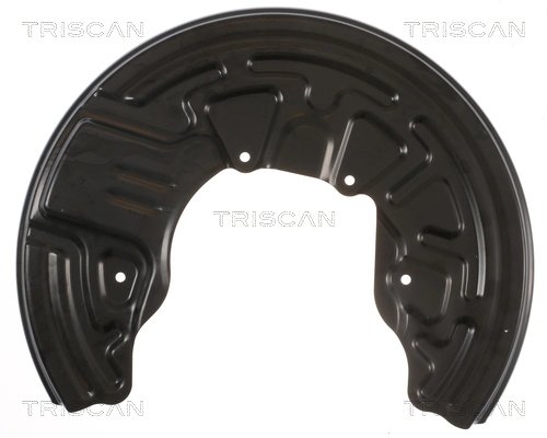 Protectie noroi disc frana Triscan 8125 29124