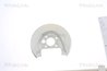 PROTECTIE NOROI DISC FRANA TRISCAN 8125 29209 - Compatibil cu AUDI, SEAT, SKODA, VW