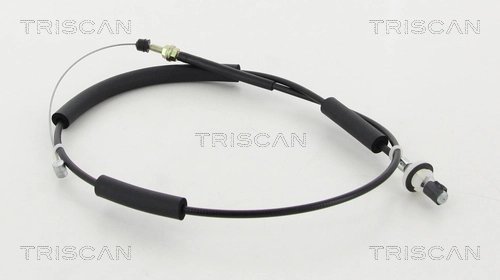 Cablu acceleratie Triscan 8140 21301