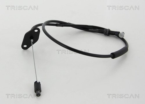 Cablu acceleratie Triscan 8140 43310