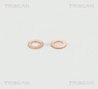 FURTUN FRANA TRISCAN 8150 11105 - Compatibil cu BMW