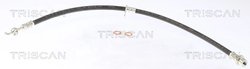 Furtun frana Triscan 8150 13162