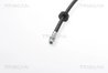FURTUN FRANA TRISCAN 8150 16234 - Compatibil cu FORD