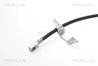 FURTUN FRANA TRISCAN 8150 16263 - Compatibil cu FORD