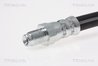 FURTUN FRANA TRISCAN 8150 16300 - Compatibil cu FORD
