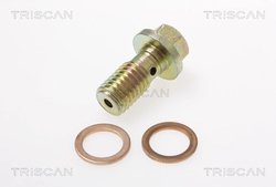 Furtun frana Triscan 8150 16307