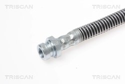 Furtun frana Triscan 8150 18104