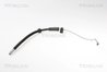 FURTUN FRANA TRISCAN 8150 20101 - Compatibil cu PORSCHE