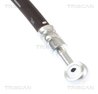 Furtun frana Triscan 8150 21303