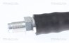 FURTUN FRANA TRISCAN 8150 28129 - Compatibil cu CITROEN, PEUGEOT