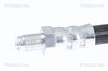 FURTUN FRANA TRISCAN 8150 28131 - Compatibil cu CITROEN, DS, PEUGEOT