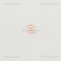 Furtun frana Triscan 8150 29132