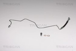 Furtun frana Triscan 8150 29290