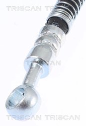 Furtun frana Triscan 8150 43181