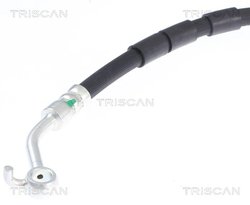 Furtun frana Triscan 8150 50227