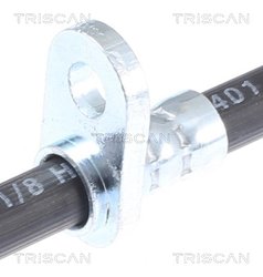 Furtun frana Triscan 8150 69112